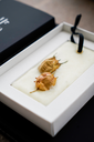 Scented wax bar